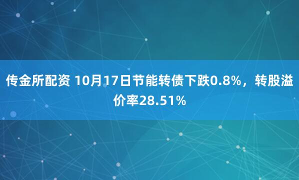 传金所配资 10月17日节能转债下跌0.8%，转股溢价率28.51%
