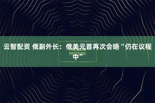 云智配资 俄副外长：俄美元首再次会晤“仍在议程中”
